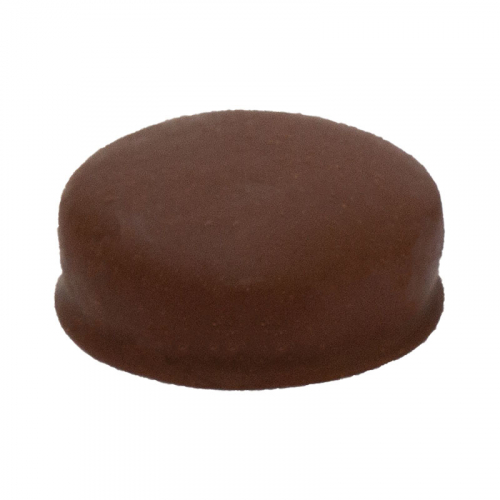 BISCOITO AMANTEIGADO PÃO DE MEL POTE FONTINI 12/150 GR