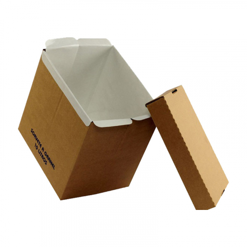 CAIXA SORVETE ENVELOPE 10 LITROS 25 UNIDADE