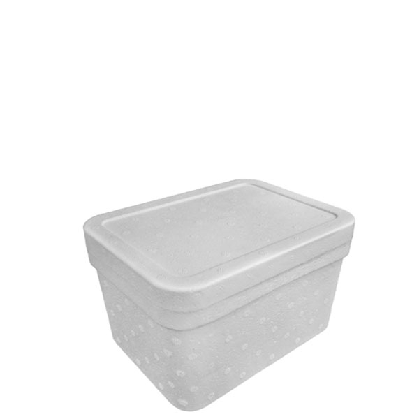 Caixa Térmica Isopor Isofort 2 L