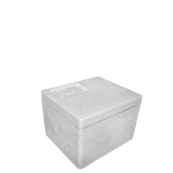 Caixa Térmica Isopor 1000 grs